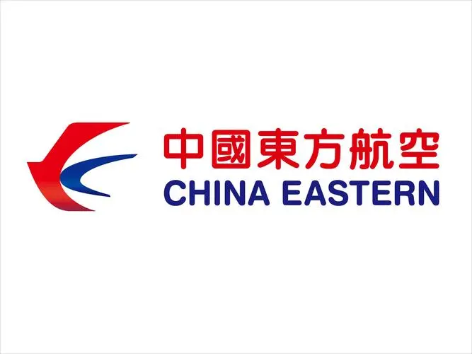 CXO人物|中国东方航空股份有限公司总工程师、东航首席信息专家王斯嘉