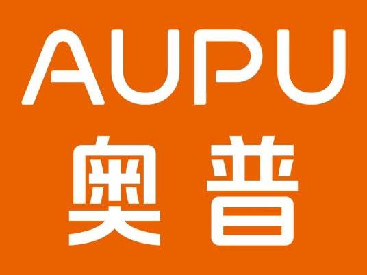CXO人物|奥普家居股份有限公司信息化主管陈荣