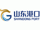 CXO人物|青岛港（集团）有限公司副总工程师、首席信息官张蕾