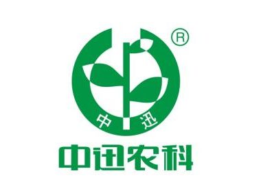 CXO人物|广东中迅农科股份有限公司信息部部长黄山