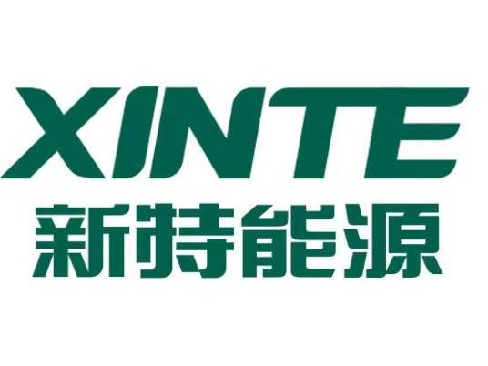 CXO人物|新特能源股份有限公司副总经理李西良