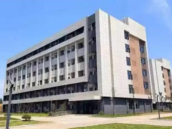 CXO人物|浙江大东吴集团有限公司信息化管理部部长钟媛媛