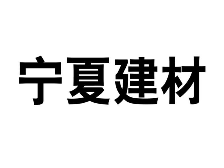 CXO人物|宁夏建材集团股份有限公司总裁王玉林