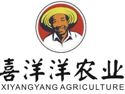 CXO人物|安徽喜洋洋农业科技有限公司董事长王宜坤
